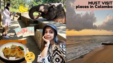 From Kandy to Colombo + our experience at the elephant orphanage + cafes to go to