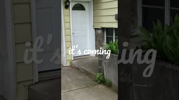 Watch out! #Shorts #Jaws