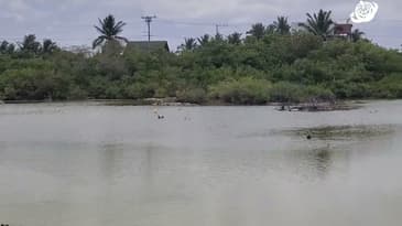 So This Is Why They Stand Like That! Galápagos Islands with Globe Aware