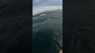 first 4km parawing downwinder