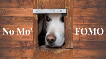 Episode 16: No Mo' FOMO