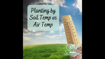 Ep. 142 - Planting by Soil Temperature vs Air Temperature: When's the best time to plant?
