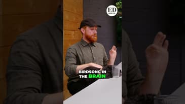 Forest Evolution: Why Birdsong Melts Stress Away! #shorts