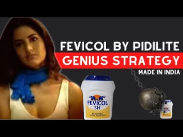 How Pidilite's STRATEGY made it a GOLDMINE stock giving 14,000% returns? : Business Case Study