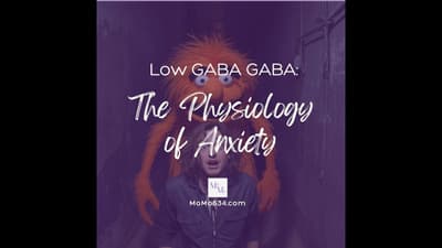 Low GABA GABA: The Physiology of Anxiety