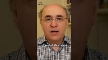 Unraveling the Mystery of Computational Irreducibility: Insights from Stephen Wolfram #shorts