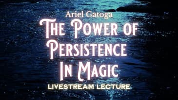 Don't Take No For An Answer: The Power of Persistence In Magic