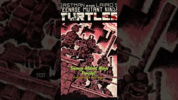 Teenage Mutant Ninja Turtles is a parody?