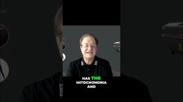 How Light Therapy Supercharges Your Cells