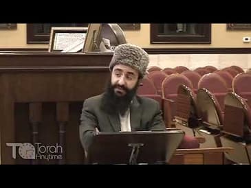 Laws surrounding Helping Beast of Burden —Законы о помогая вьючное животное—