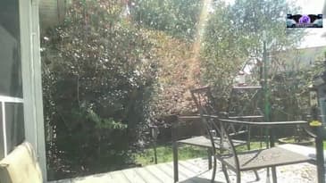 Rose testing laptop as camera