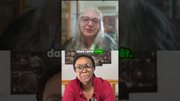 ✨ Plongée dans le monde féérique de Brocéliande ! 🌟@vauclaireveronique3778