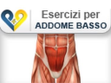 Esercizi Addominali Bassi ( Area bassa dell'addome retto )