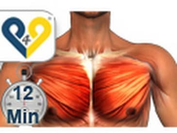 Allenamento pettorali