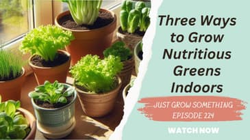 Three Ways to Grow Nutritious Greens Indoors - Ep. 224