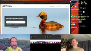 Western Birds & Birdsongs with CaliforniaBirbs | July 6, 2023 Livestream from twitch.tv/songbirder
