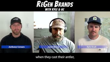 How Axis Deer Came To Hawaii & Why Their Populations Increase So Rapidly