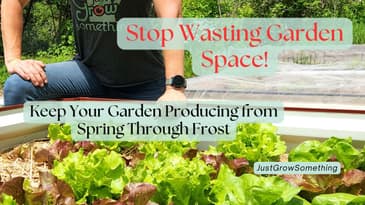 Succession Planting: Strategies That Keep Your Garden Producing from Spring Through Frost - Ep. 296