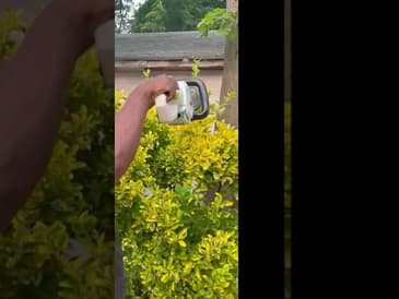 Litheli 40V 22" Cordless Hedge Trimmer