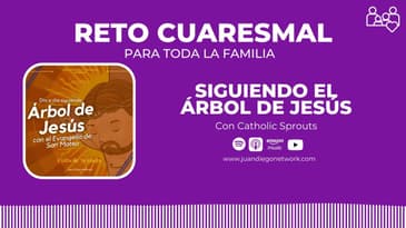 DÍA 6 RETO: En familia día a día con el Árbol de Jesús hasta la Pascua