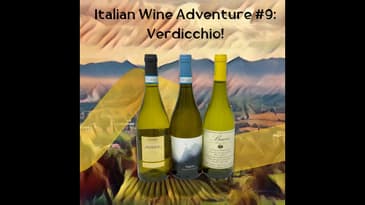 Italian Wine Adventure #9: Verdicchio!