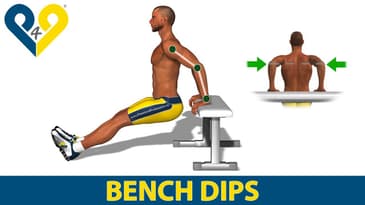How to do triceps dips on bench
