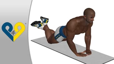 Diamond push ups ( knees position )