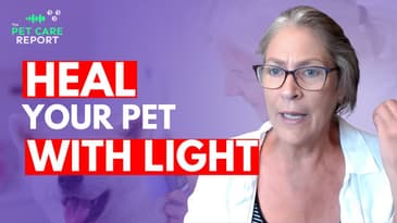 Light Therapy for Pet Healing and Well-being