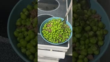 Making Andrew Tate’s “flavor”