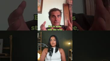 What does the simulation look like?!