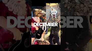 Recap of December in Japan #tokyo #christmas #illumination #winter #December #recap