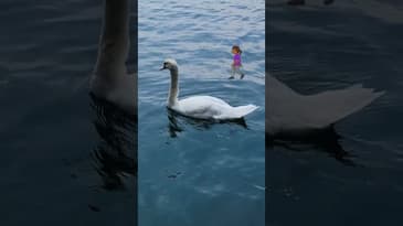 How I Spent 24 Hours In Zurich...