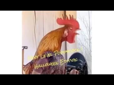 Next Level Poppycock! - Halloween Edition!