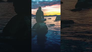 Would You Trade It All?  #adulting