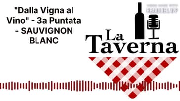"Dalla Vigna al Vino" - 3a Puntata - SAUVIGNON BLANC | La Taverna Friuli Wine
