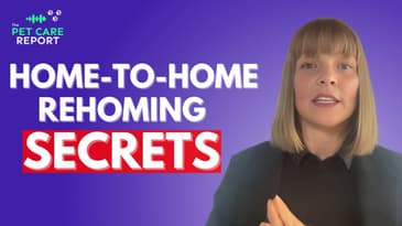 Dog Adoption and Understanding Your Pet’s History with Home-to-Home Rehoming