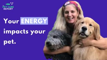 Dr. Erin Holder: Holistic Longevity for Cats | EP3