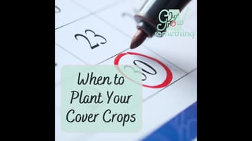 When to Plant Your Cover Crops - Focal Point Friday