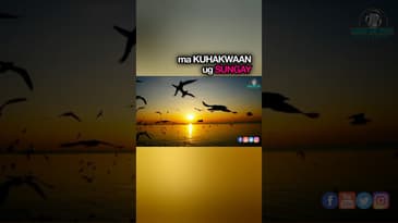 Ang Tambag — Ipakita ang Imong Tinuod nga Gugma sa Diyos Pinaagi sa Adlaw-adlaw nga mga Buhat