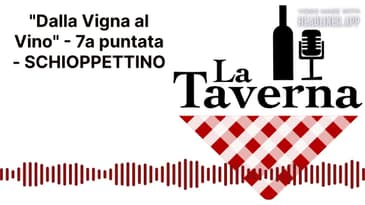"Dalla Vigna al Vino" - 7a puntata - SCHIOPPETTINO | La Taverna Friuli Wine