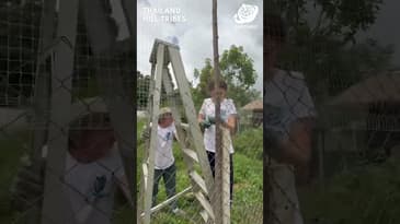 The Chickens Need More Room! Hill Tribes, Thailand with Globe Aware ( Clip 2)