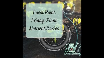 Focal Point Friday: Plant Nutrient Basics