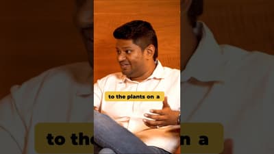 The Weird Connection Between Gardening and Mental Clarity