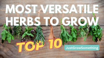 The 10 Most Versatile Herbs to Grow for the Kitchen and How to Use Them Fresh or Dried - Ep. 227