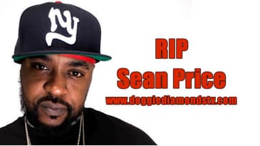 Sean Price Mural Painted In Brooklyn