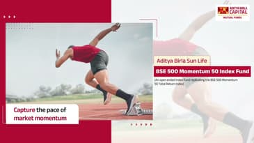 BSE 500 smart beta index funds