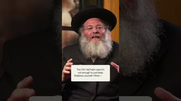 Likras Campaign 2024