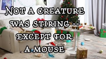 Twas the Night After Christmas | Funny Christmas Poetry