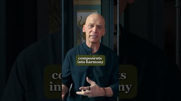 The human system is a complex adaptive system