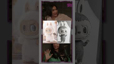 What is this Labubu Craze all about?